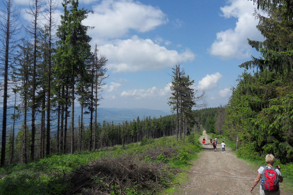 Szlak turystyczny
